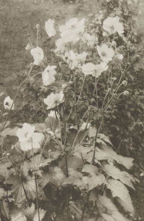 Page 16 Jennings, Payne  (British, 1843-1926)