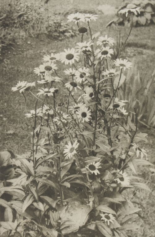 Page 24 Jennings, Payne  (British, 1843-1926)