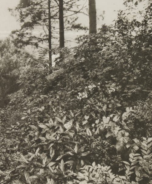 Page 36 Jennings, Payne  (British, 1843-1926)