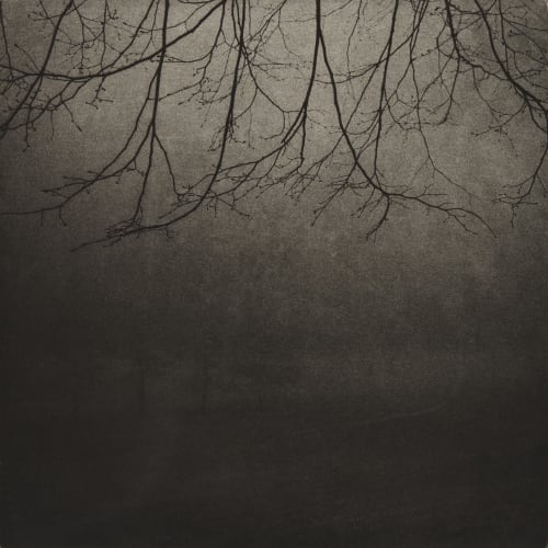 Branches, Lucerne, Switzerland Kellenberger, Max  (Swiss, b.b.1956)