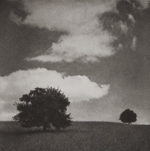 Two Trees, Herrliberg, Switzerland Kellenberger, Max  (Swiss, b.b.1956)