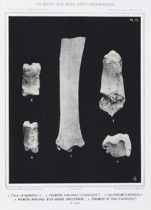 Tibia (d’aurochs) ? … Bilordeaux, Adolphe  (French, 1807-1872)