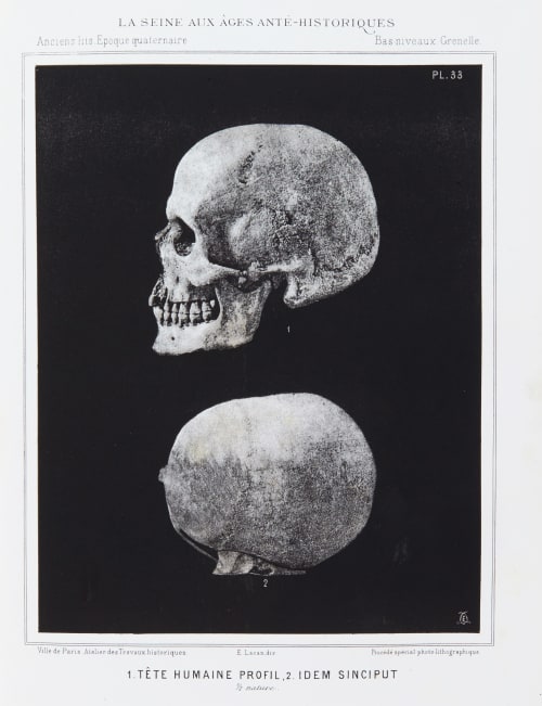 1. Tête humaine profil, 2. Idem Sinciput Bilordeaux, Adolphe  (French, 1807-1872)
