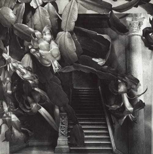 Stairway MacCallum, Marlene  (Canadian, b.1959)