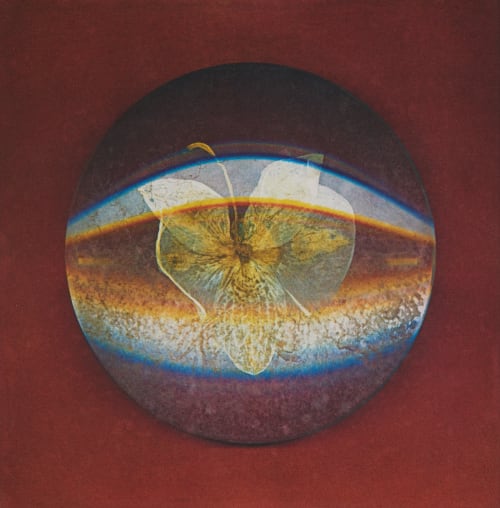 Stacked Lenses MacCallum, Marlene  (Canadian, b.1959)