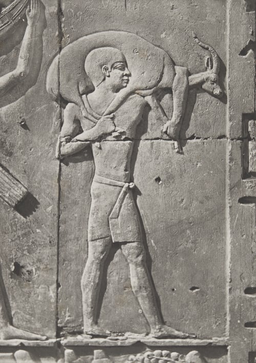 6 Memphis Saqqarah Unknown 