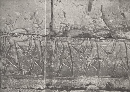 31 Abydos Temple de Ramsès Unknown 