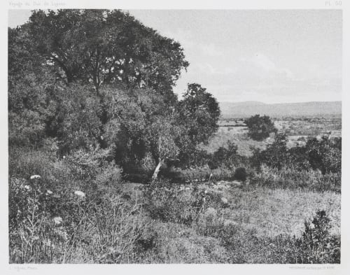 PL. 60 Sommet de Tell-El-Kady Vignes, Louis  (French, 1831-1896)