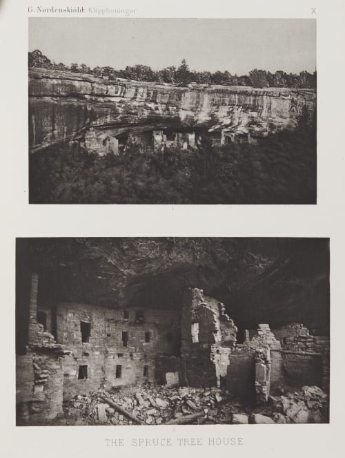 The Spruce Tree House Nordenskiöld, Gustav  (Swedish, 1868-1895)