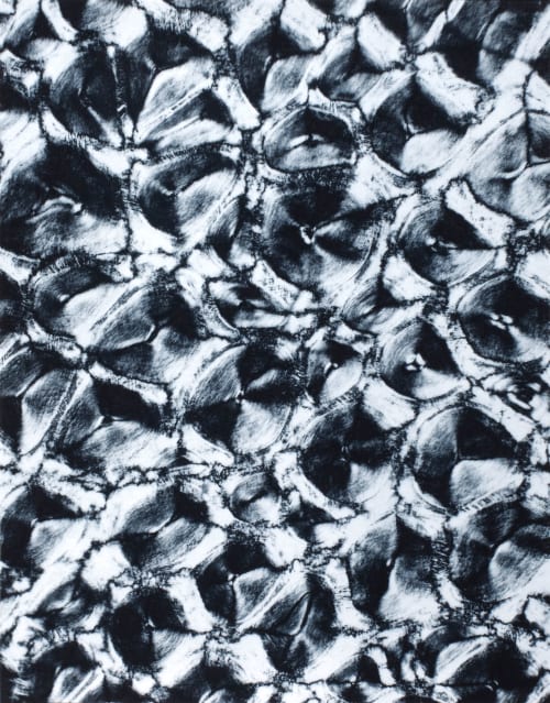 Planche I Corne de Rhinocéros (coupe) Albin-Guillot, Laure  (French, 1892-1962)