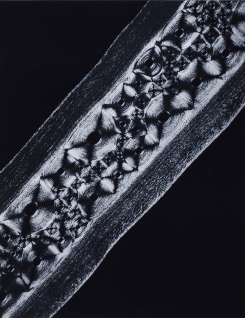 Planche VI Cartilages debaleine Albin-Guillot, Laure  (French, 1892-1962)