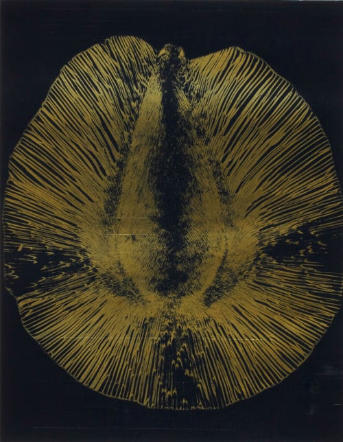 Planche X Graine Albin-Guillot, Laure  (French, 1892-1962)