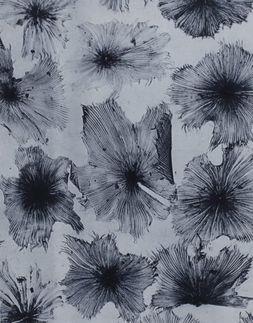 Planche XI Bourdaine Albin-Guillot, Laure  (French, 1892-1962)