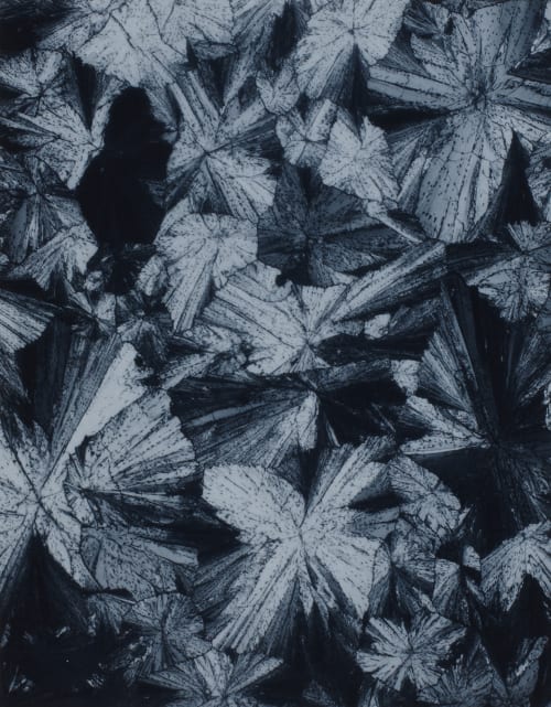 Planche XIII Ironal Albin-Guillot, Laure  (French, 1892-1962)