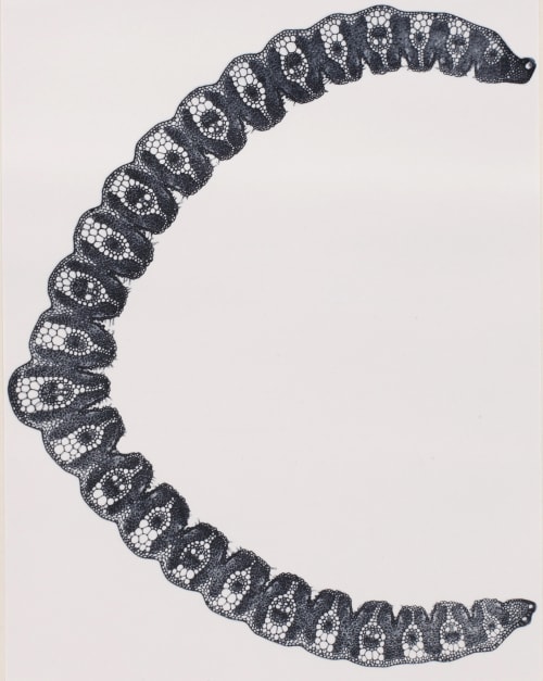 Panche XV Gynérium argenvenum (graminée) Albin-Guillot, Laure  (French, 1892-1962)