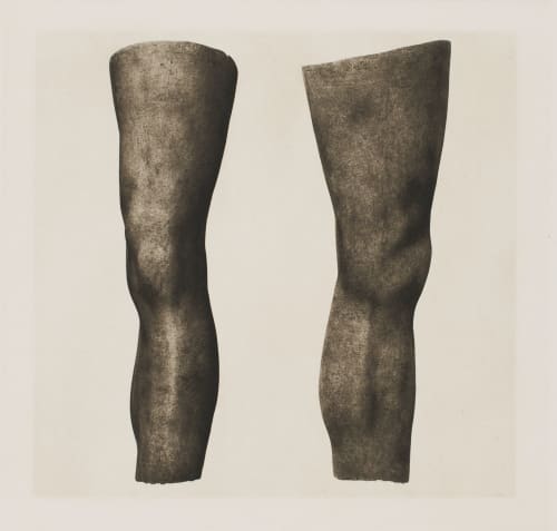 Untitled Unknown  (Austrian)