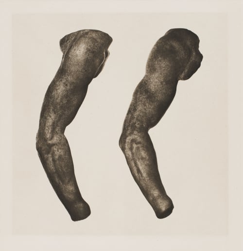 Untitled Unknown  (Austrian)