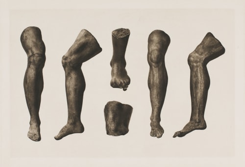 Untitled Unknown  (Austrian)