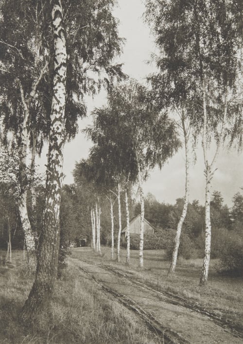 Aus der Mark Heinke, Gustav 