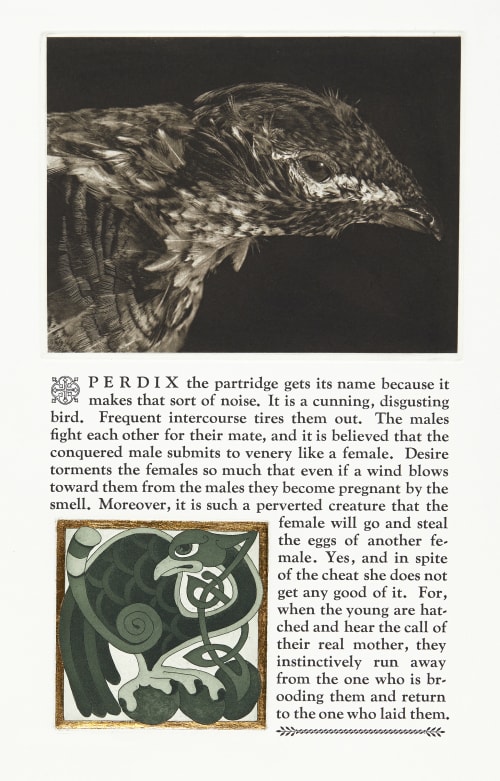 Perdix the Partridge Morrish, David  (Canadian, b.1953)