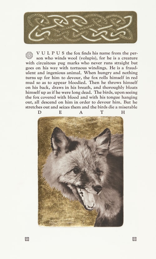 Vulpus the Red Fox Morrish, David  (Canadian, b.1953)