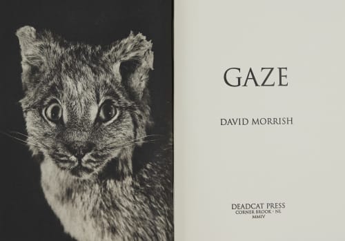  Morrish, David  (Canadian, b.1953)