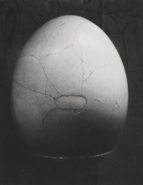  Mosely, Peter  (British)