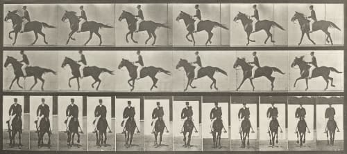 Plate 618 Muybridge, Edward  (British, 1830-1904)