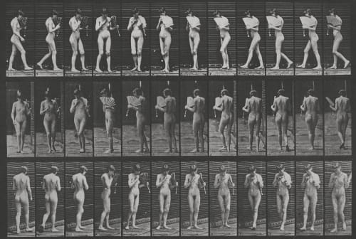 Plate Number 46. Walking, flirting a fan and turning around Muybridge, Edward  (British, 1830-1904)