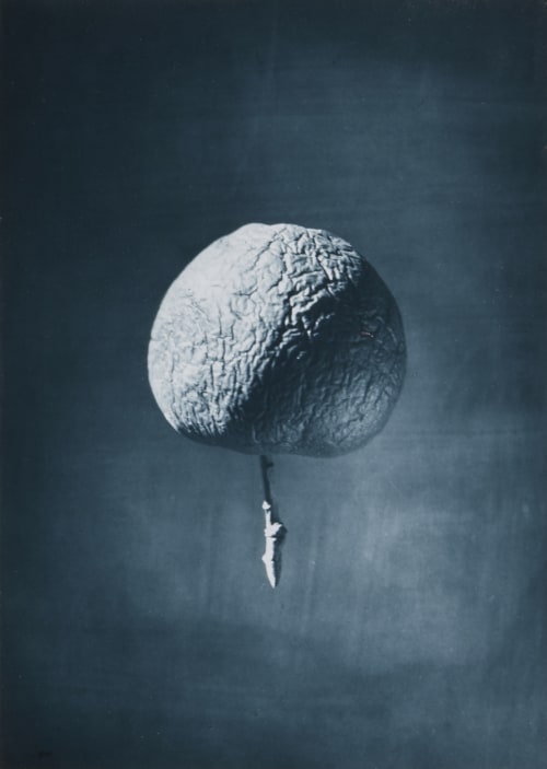 Shrivelled Apple to Illustrate the Origin of Certain Mountain Ranges Resulting from Shrinkage of the Interior Nasmyth, James  (Scottish, 1808-1890)