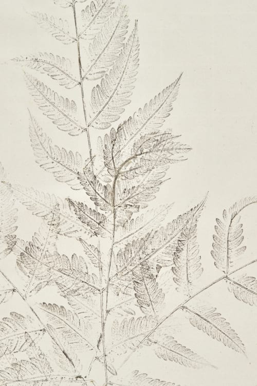 Nature Print Detail Unknown 