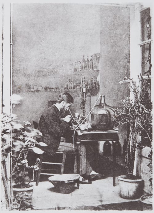 Examen Microscopique Lackerbauer, Pierre  (French, 1823-1872)