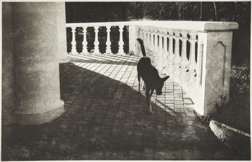 Chernivtsi Perun, Taras  (Ukranian, b.b. 1962)