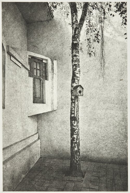 Chernivtsi Perun, Taras  (Ukranian, b.b. 1962)