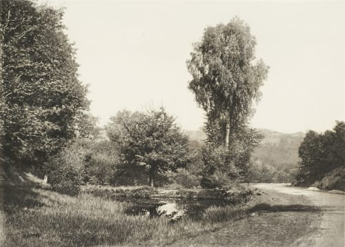 Pécherie Pector, S.  (French)