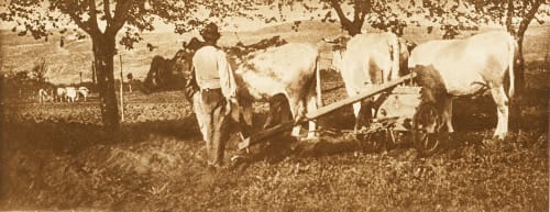 Une Charrue a Vérone Annan, James Craig  (Scottish, 1864-1946)