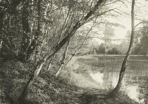 Étude au Prater Severinski, R.  (Austrian)