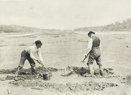 Pecheurs de Coquillages Sewall, Emma D.  (American)