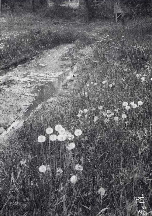 After the Rain Eickemeyer, Rudolf  (American, 1862-1932)