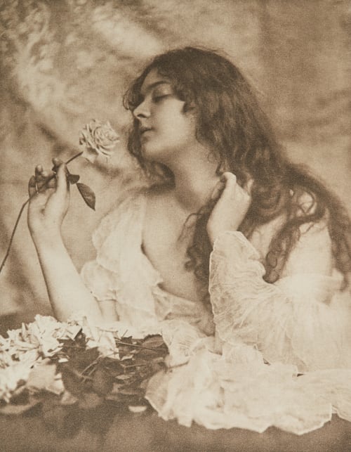 The Bridal Rose Eickemeyer, Rudolf  (American, 1862-1932)