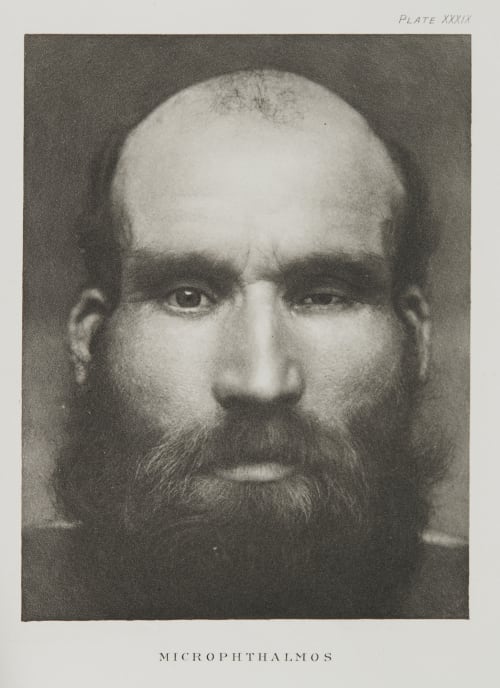 Plate XXXIX, Microphthalmos Ramsay, A Maitland  (Scottish, 1859-1946)