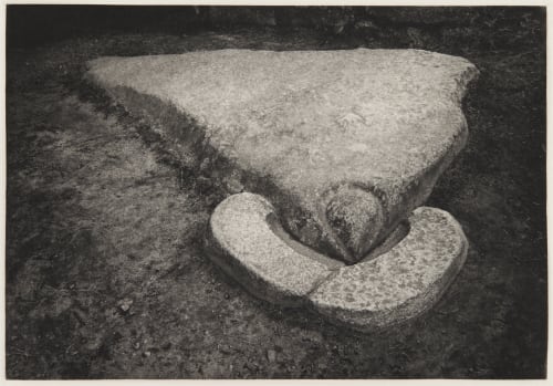 Condor stone Edward Ranney  (American, b.b.1962)