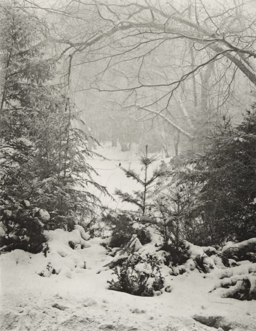 Zur Weihnachtszeit Rau, Otto  (German, 1856-1934)