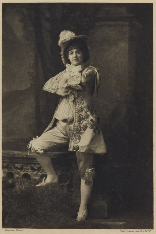 Miss Rehan as Donna Hypholita in “The would & The would’nt” Sarony, Napoleon  (American, 1821-1896)