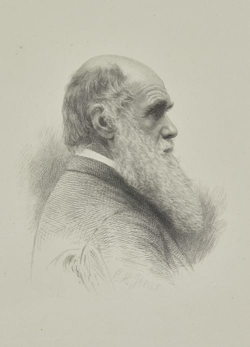 Charles Darwin Rejlander, Oscar G.  (British, 1834-1910)