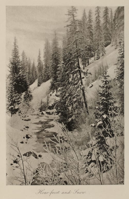 Hoar-frost and Snow Roome, H.A.  (British, 1857-1935)