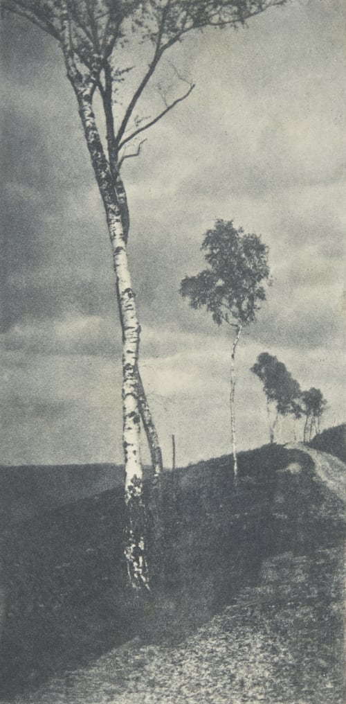 Aufnahme von Dr. Ed. Arning in Hamburg Arning, Dr. Edward  (English, 1855-1936)