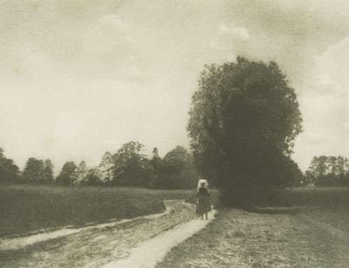 Aus dem Spreewald Herrmann, M.  (German)