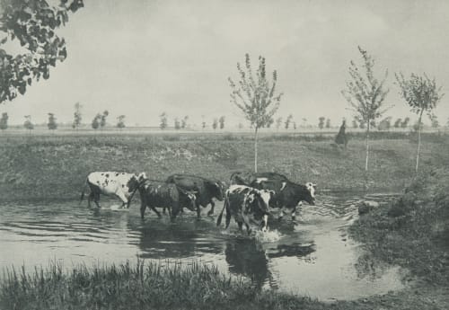 Aufnahme von M. Bucquet in Paris Bucquet, Maurice  (French, 1860-1921)