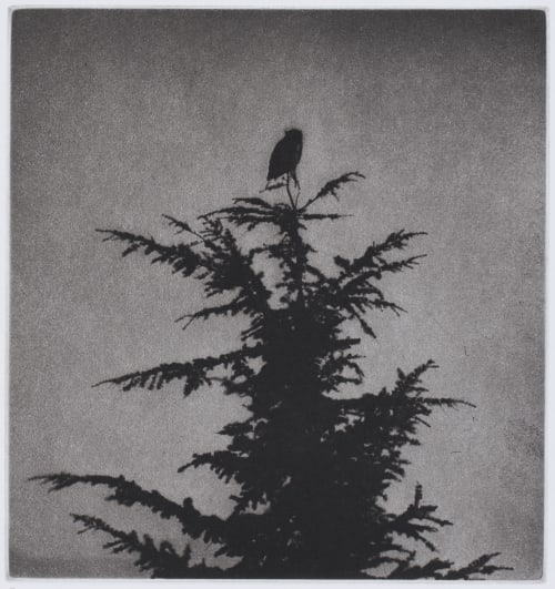The Owl Martin, Unai San  (Spanish, b.1964)